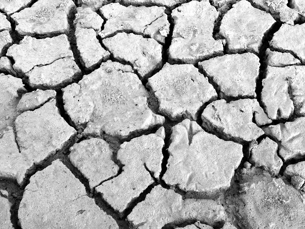 Cracked Earth