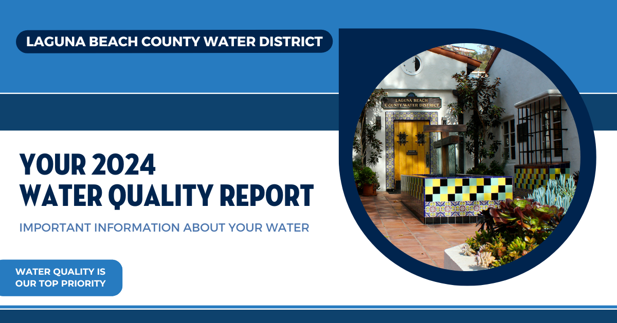 2024 Water Quality Report (960 x 503 px)